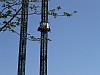 DSC00460.jpg