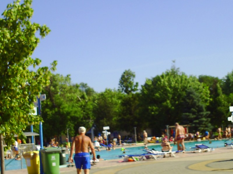 201.jpg