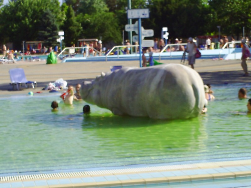 202.jpg