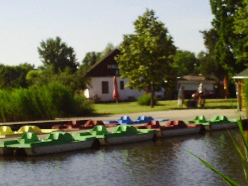 218.jpg