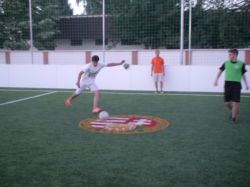 DSC02135.jpg