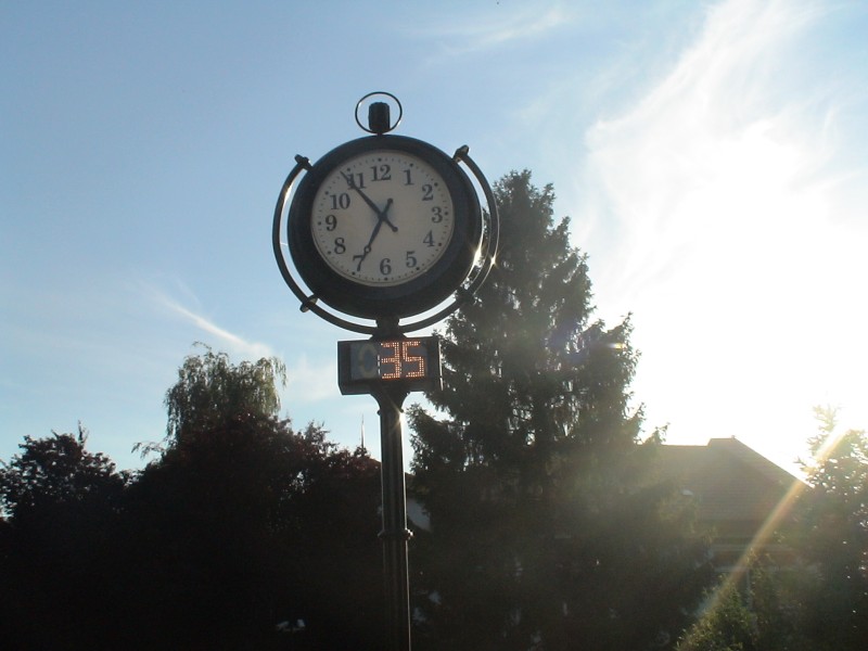 DSC02378.jpg
