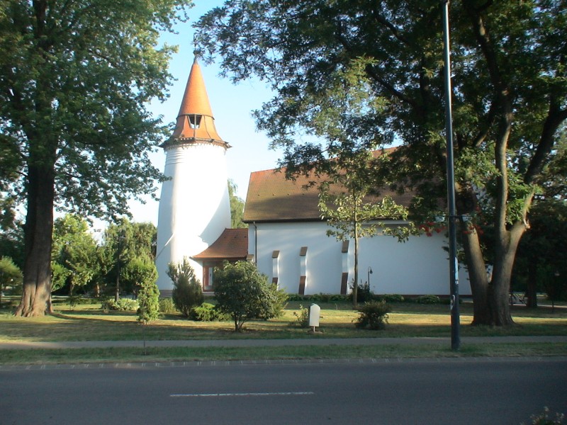 DSC02380.jpg