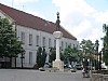 DSC02331.jpg