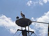 DSC02349.jpg