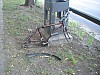 DSC02410.jpg