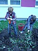 P1060078.jpg