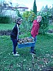 P1060083.jpg