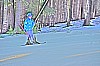 STK 2015 045.jpg
