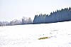 STK 2015 085.jpg