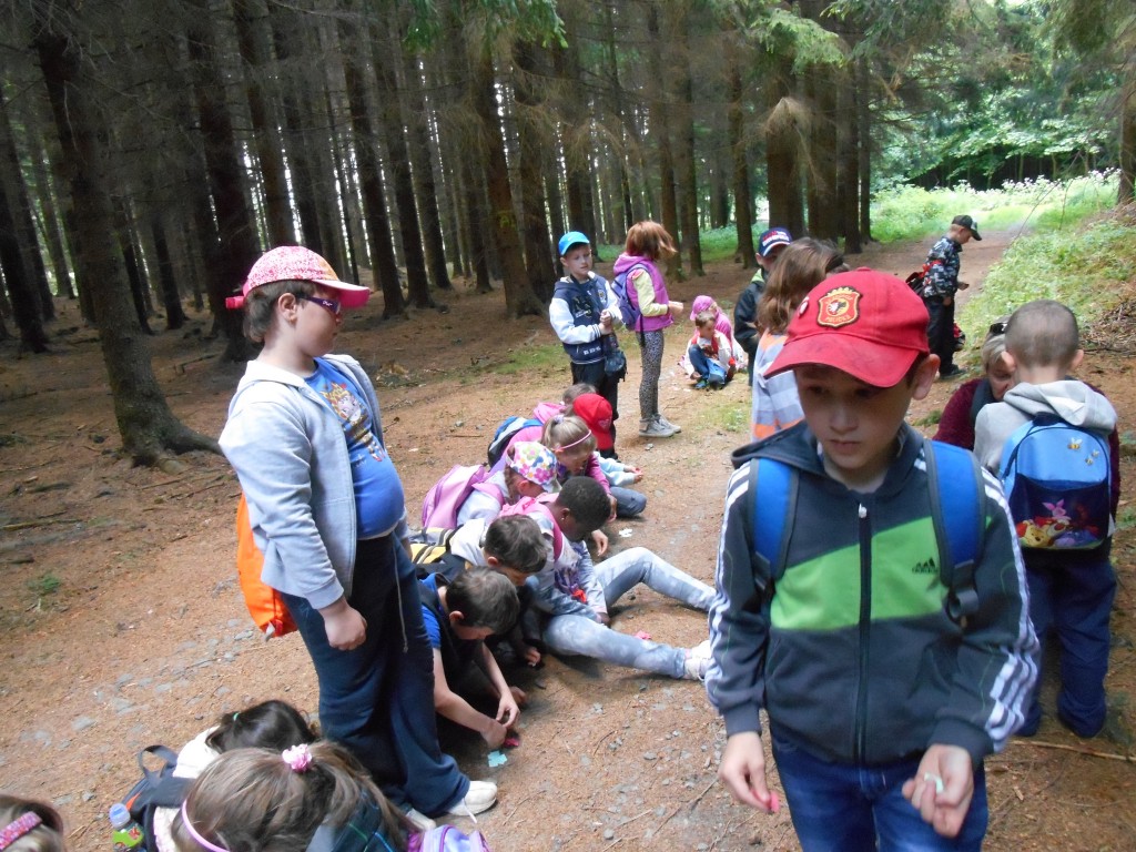 DSCN0461.jpg