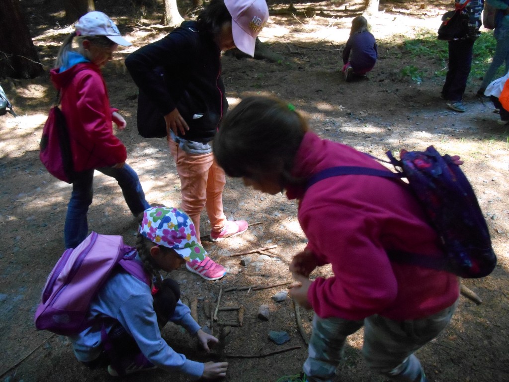DSCN0466.jpg