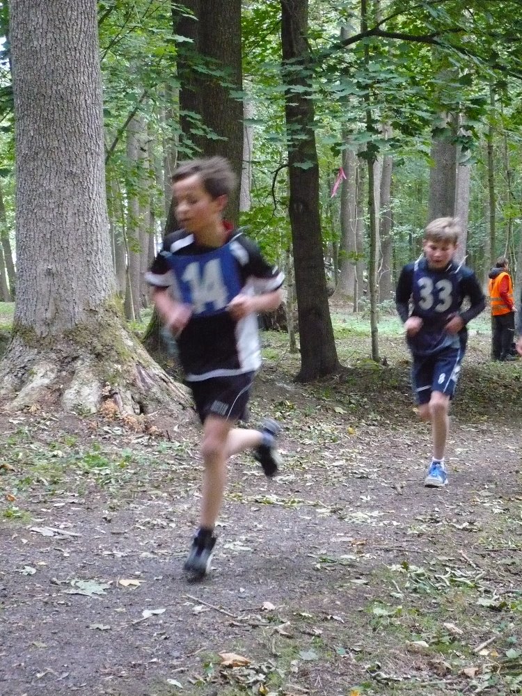 P1060492.JPG