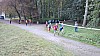 IMG_20150930_091857.jpg