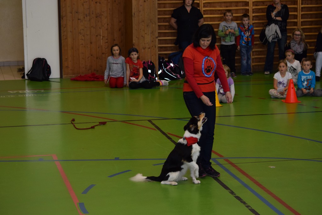 DSC_0081.jpg
