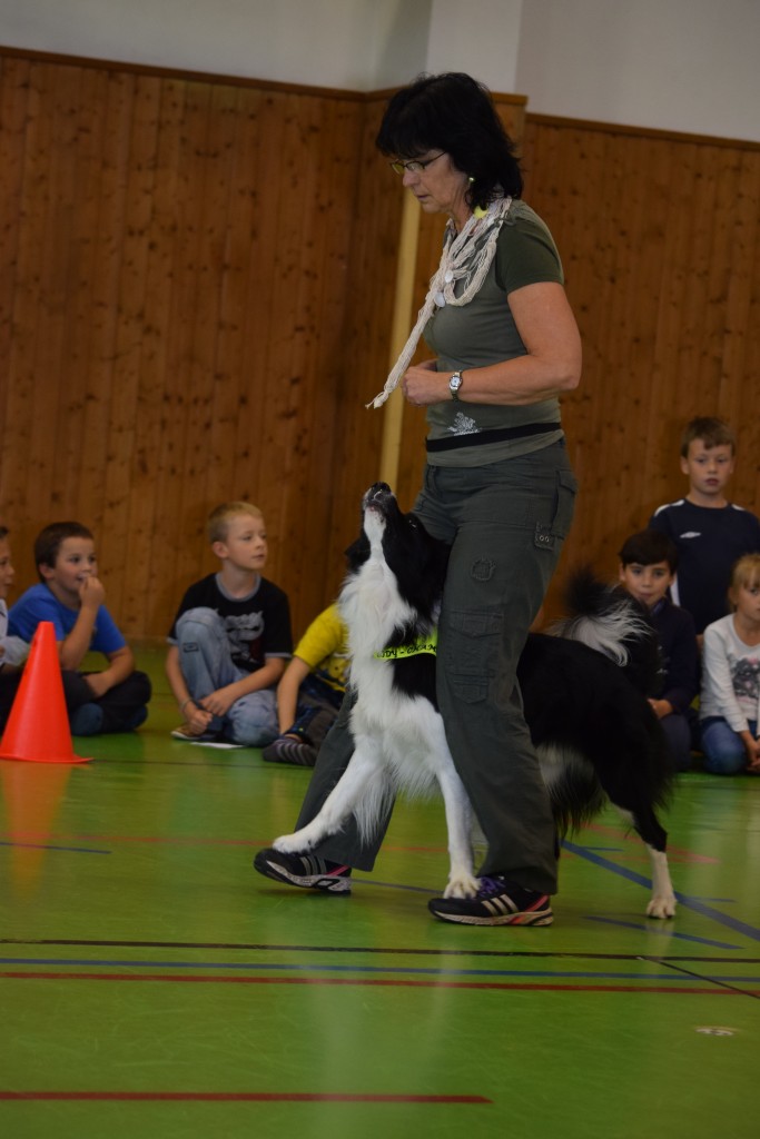 DSC_0087.jpg