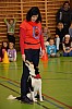 DSC_0083.jpg