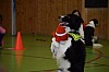 DSC_0091.jpg