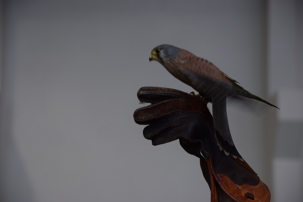 DSC_0123.jpg