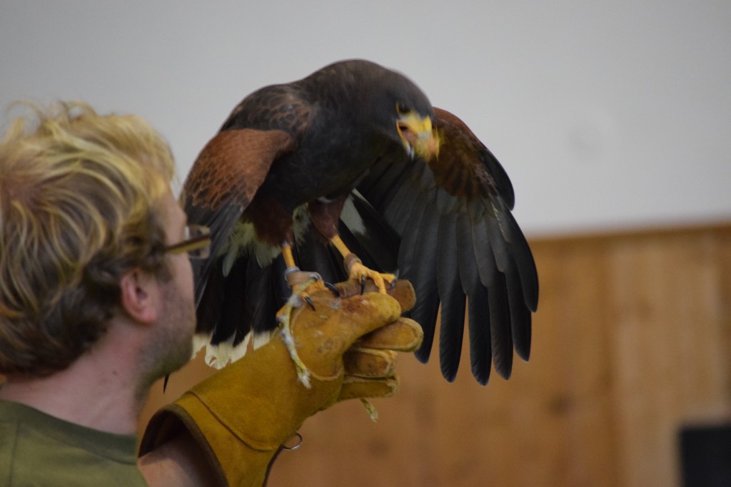 DSC_0155.jpg