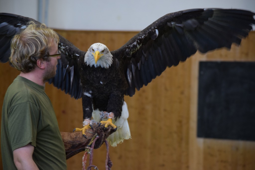DSC_0163.jpg