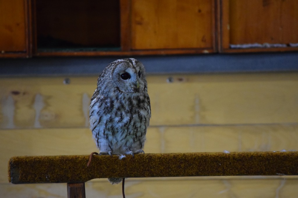 DSC_0179.jpg