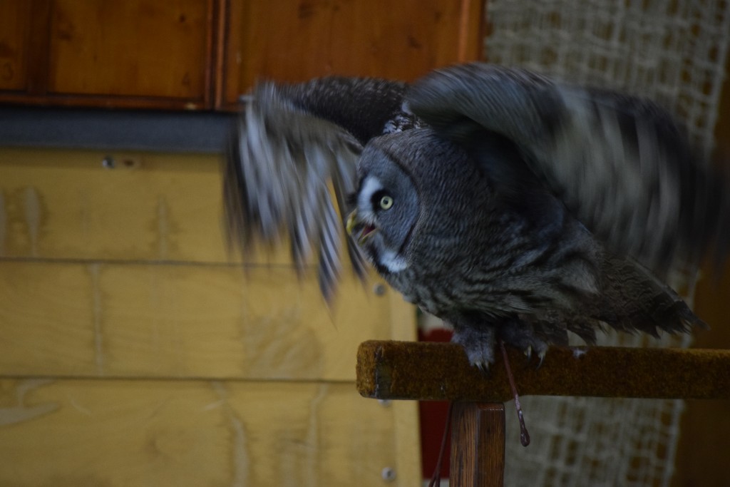 DSC_0189.jpg
