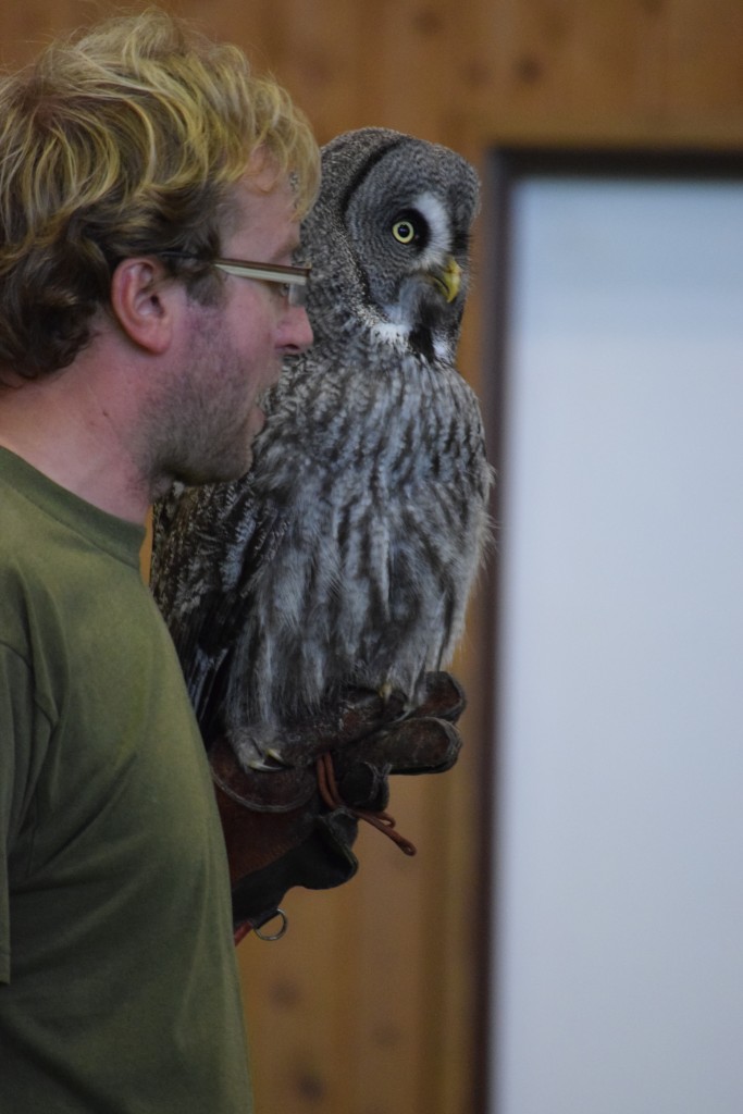 DSC_0198.jpg