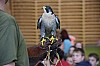 DSC_0119.jpg