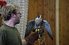 DSC_0121.jpg