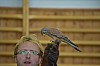 DSC_0122.jpg