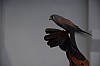 DSC_0123.jpg