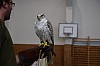 DSC_0131.jpg