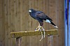 DSC_0134.jpg