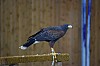 DSC_0135.jpg