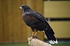 DSC_0139.jpg