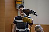 DSC_0140.jpg