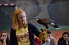 DSC_0147.jpg