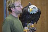 DSC_0158.jpg
