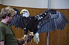 DSC_0162.jpg
