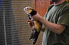 DSC_0165.jpg