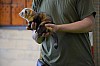 DSC_0169.jpg