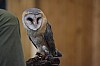 DSC_0173.jpg