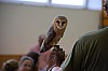 DSC_0174.jpg