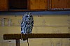 DSC_0178.jpg