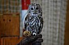 DSC_0187.jpg
