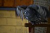 DSC_0189.jpg