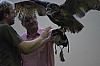 DSC_0204.jpg