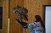 DSC_0207.jpg