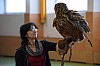 DSC_0210.jpg